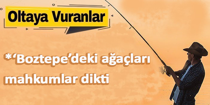 ‘Boztepe’deki ağaçları mahkumlar dikti’