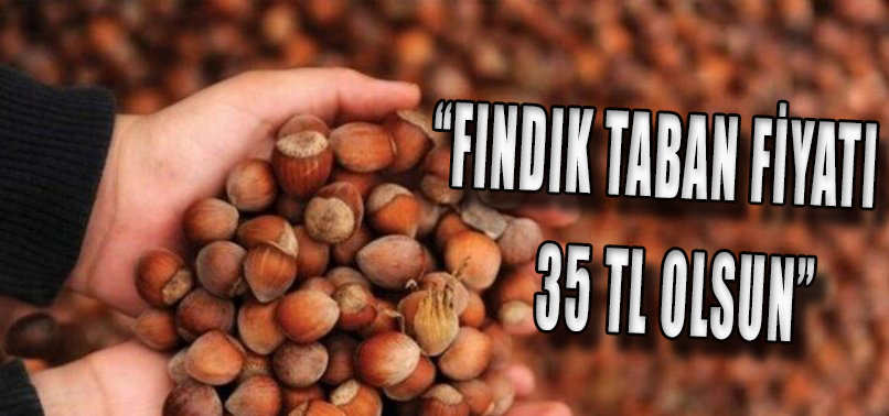 Fındık fiyatı 35 TL olsun
