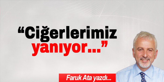“Ciğerlerimiz  yanıyor…”