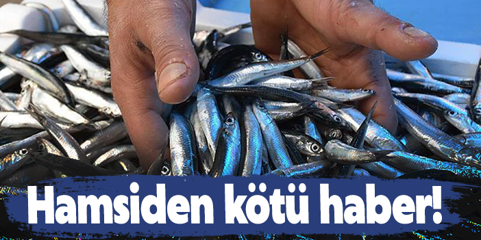 Hamsiden Kötü Haber