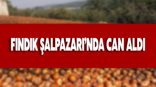 Fındık Şalpazarı'nda can aldı