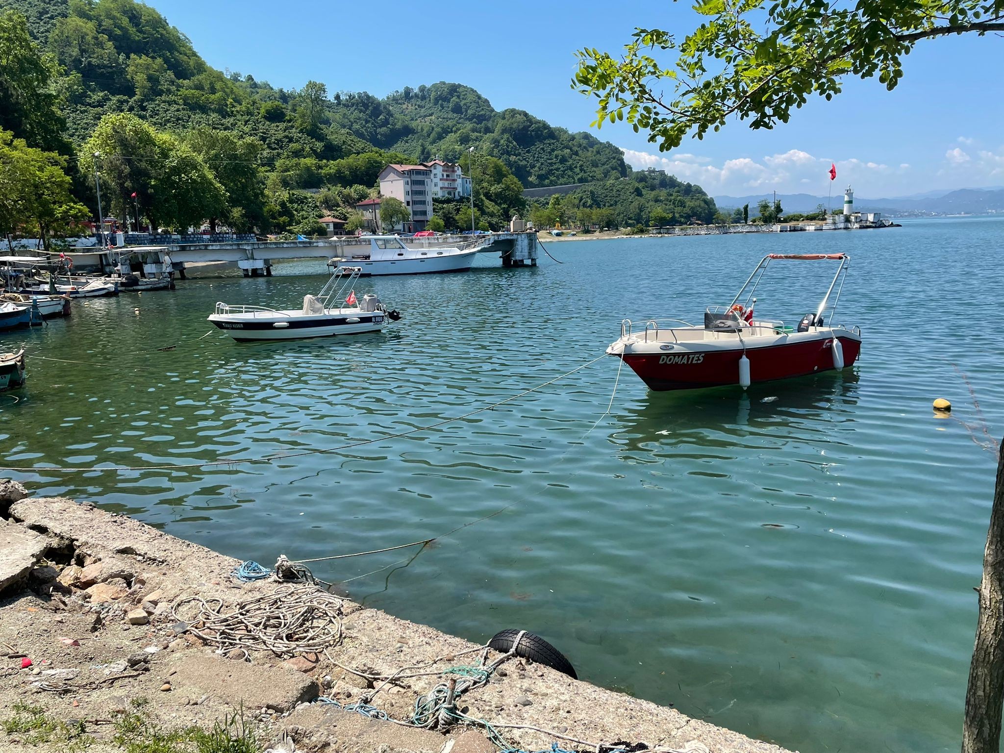 Ordu'da deniz salyası tehlikesi