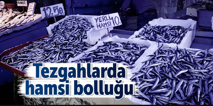 Tezgahlarda hamsi bolluğu!