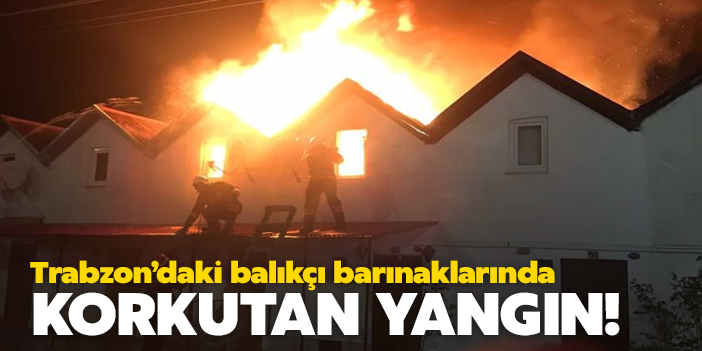 Trabzon'daki balıkçı barınaklarında korkutan yangın!