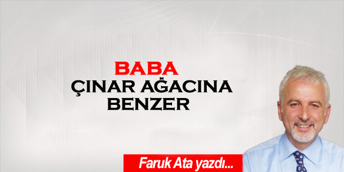 BABA ÇINAR AĞACINA BENZER